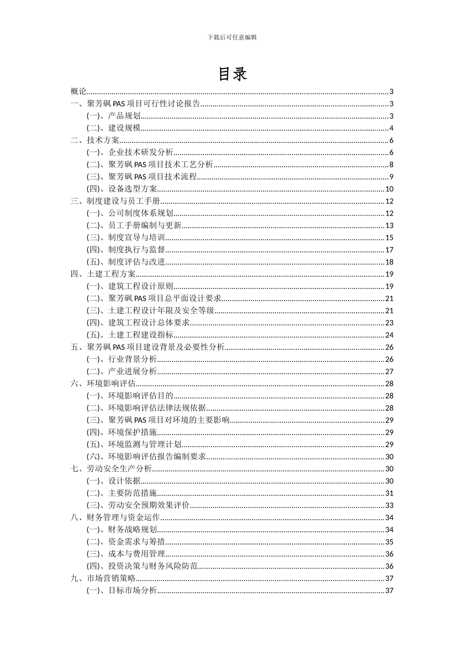 2024年聚芳砜PAS项目深度研究分析报告_第2页