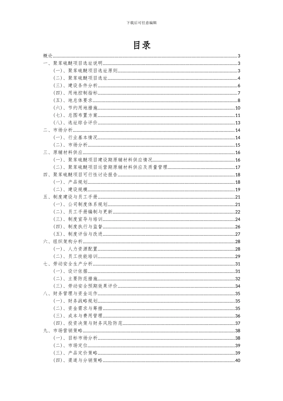 2024年聚苯硫醚项目深度研究分析报告_第2页