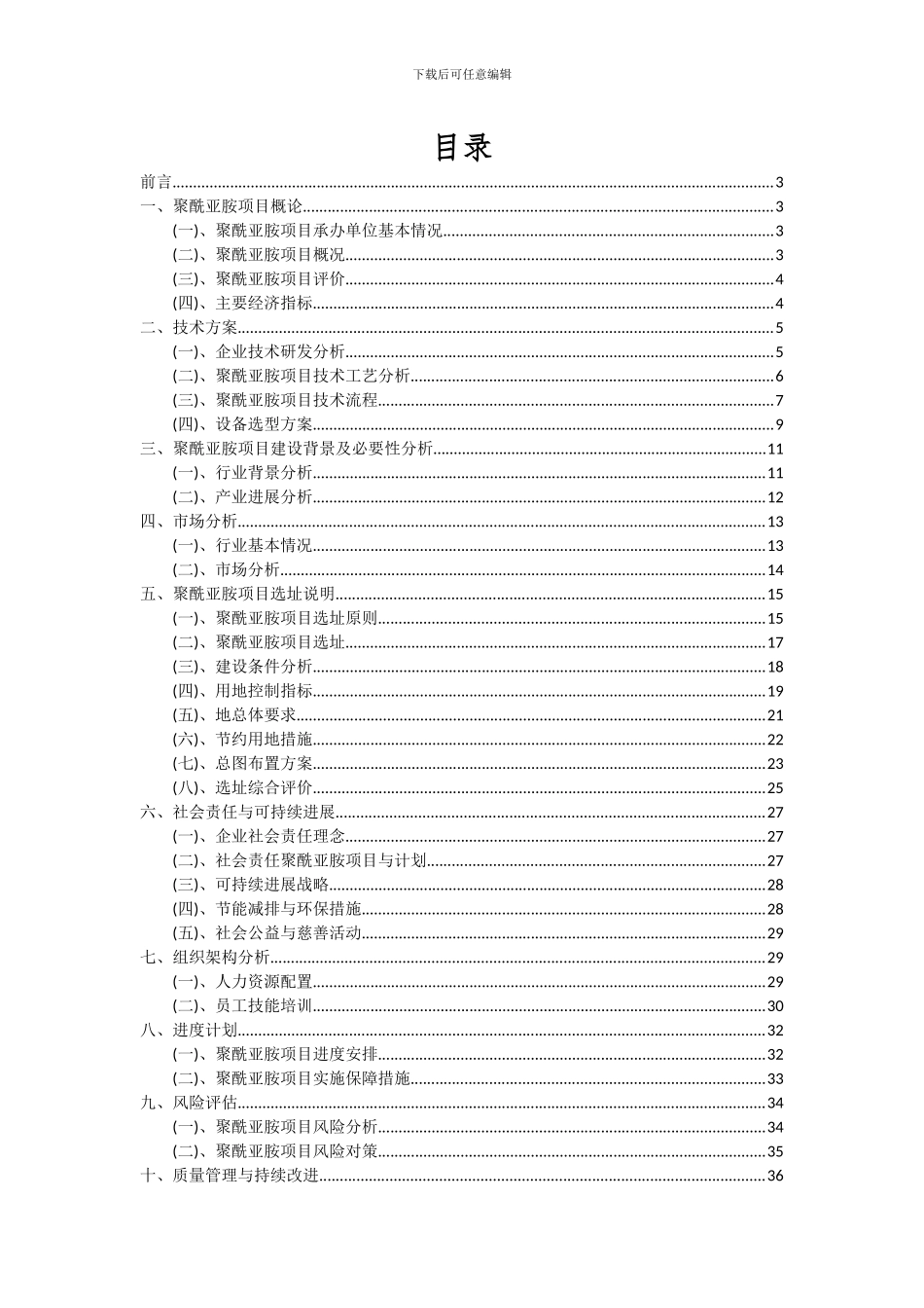 2024年聚酰亚胺项目可行性研究报告_第2页