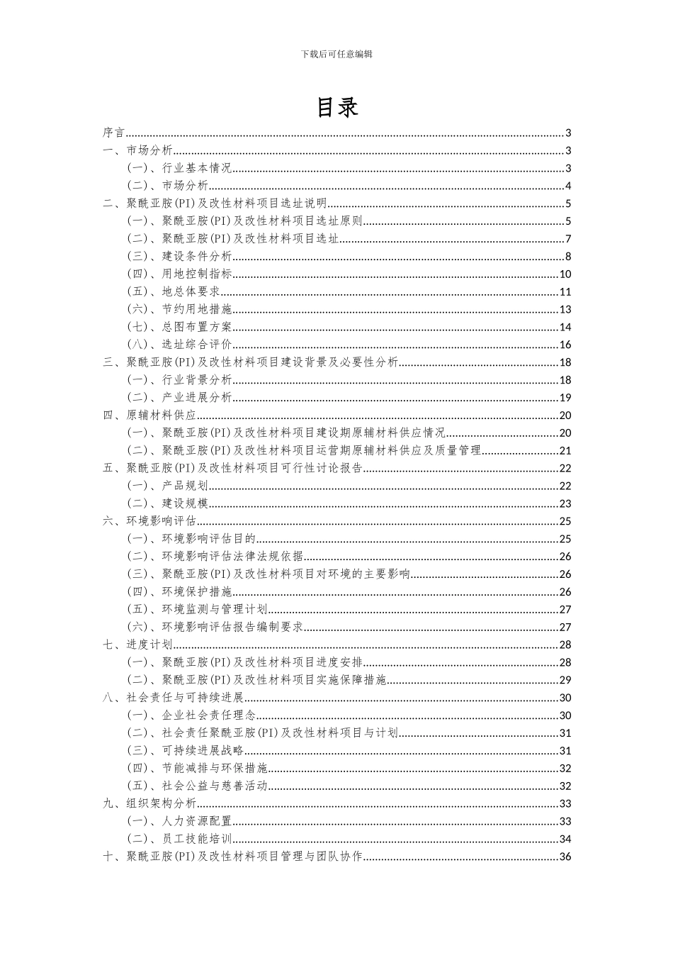 2024年聚酰亚胺(PI)及改性材料项目深度研究分析报告_第2页