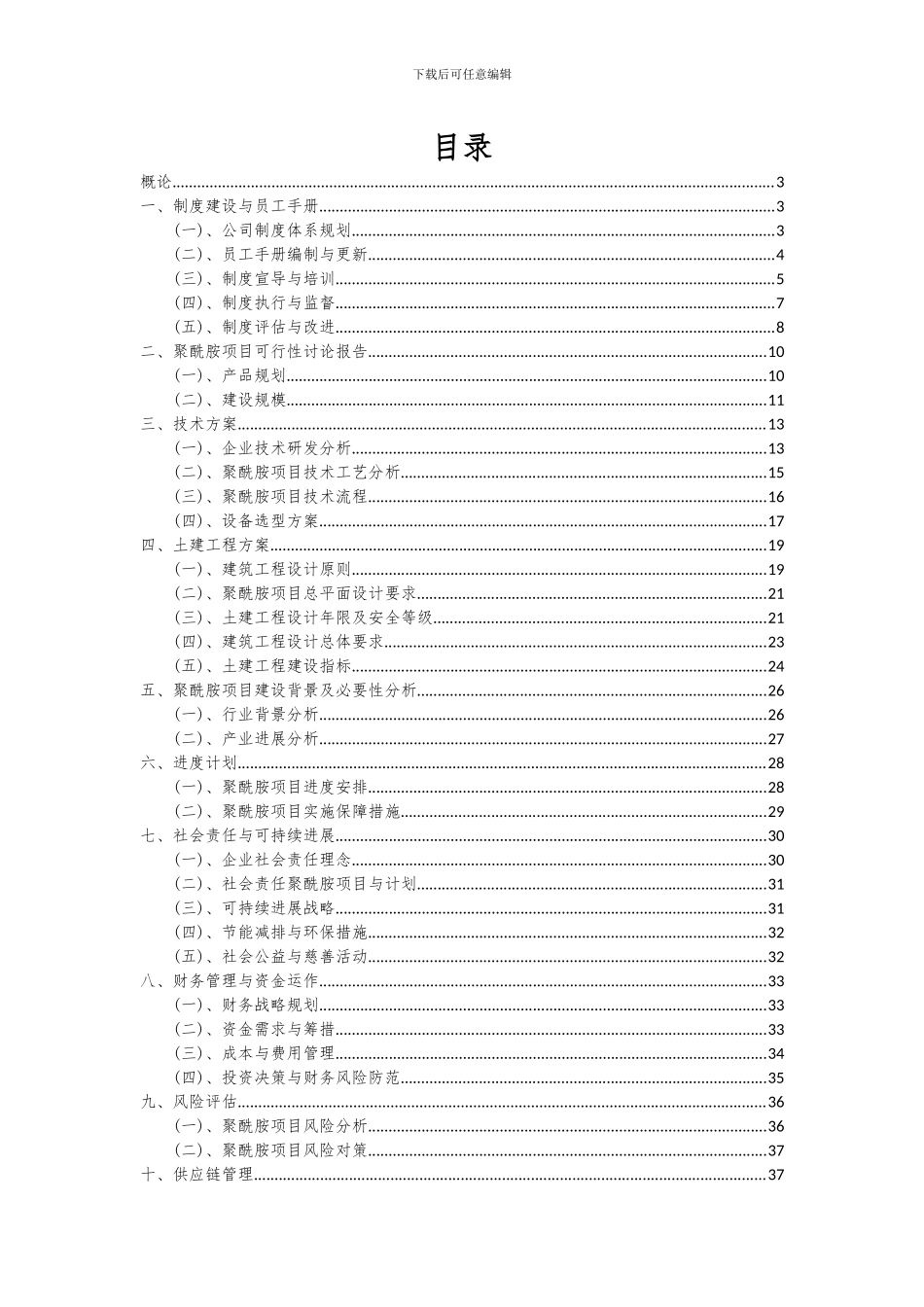 2024年聚酰胺项目投资分析及可行性报告_第2页