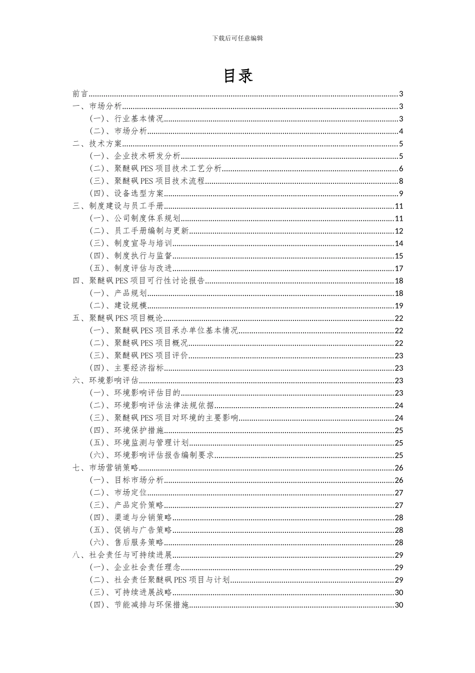 2024年聚醚砜PES项目可行性分析报告_第2页