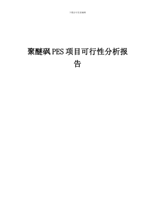2024年聚醚砜PES项目可行性分析报告