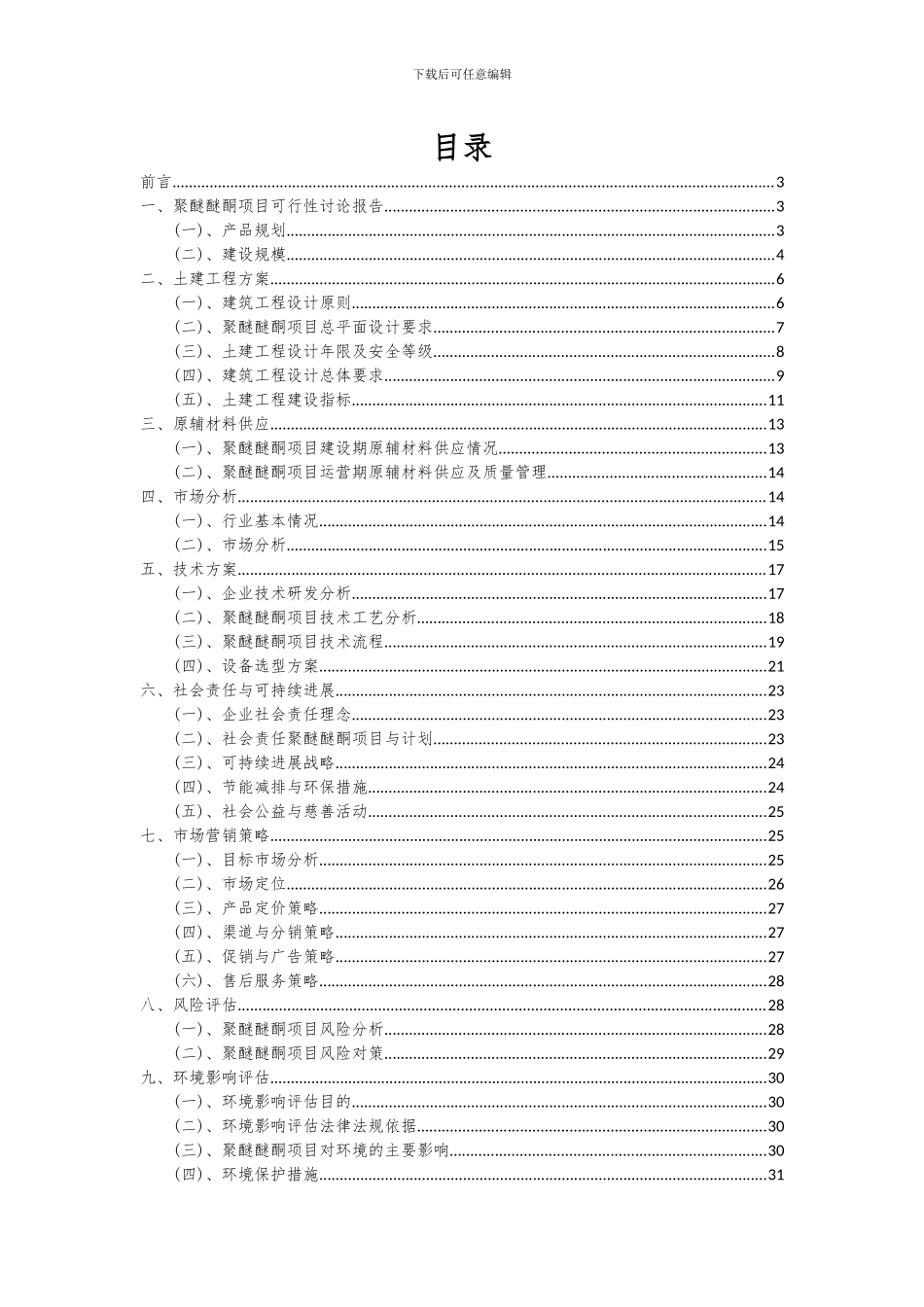 2024年聚醚醚酮项目投资分析及可行性报告_第2页