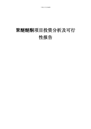 2024年聚醚醚酮项目投资分析及可行性报告