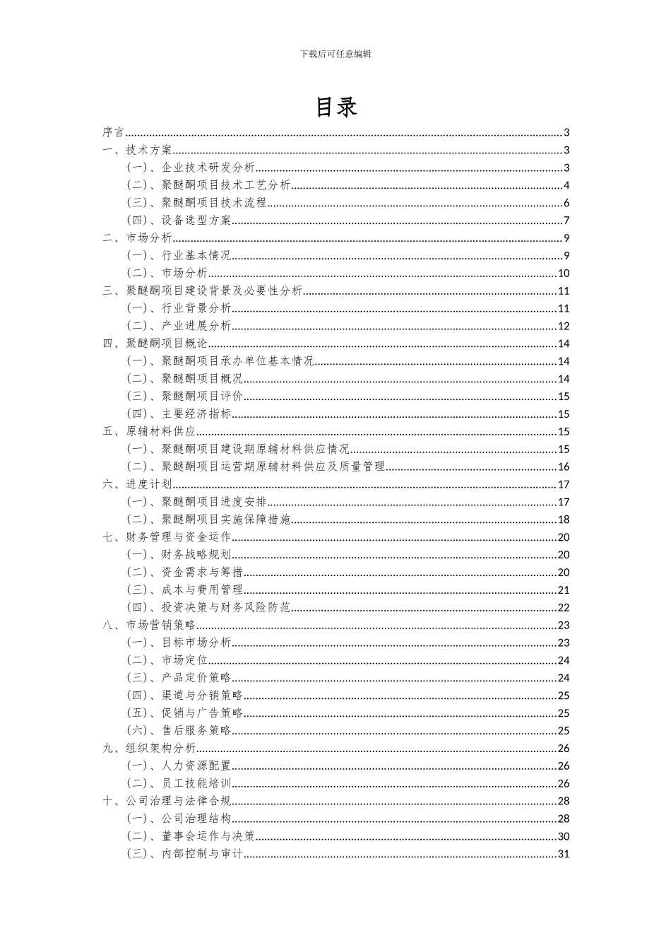 2024年聚醚酮项目投资分析及可行性报告_第2页