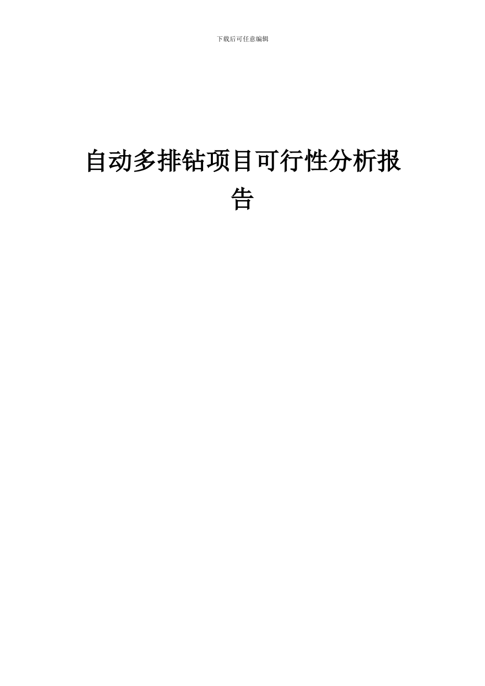 2024年自动多排钻项目可行性分析报告_第1页