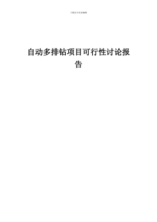 2024年自动多排钻项目可行性研究报告
