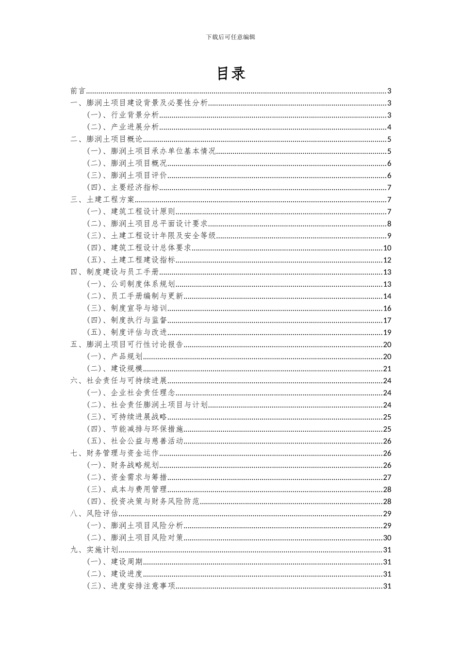 2024年膨润土项目可行性研究报告_第2页