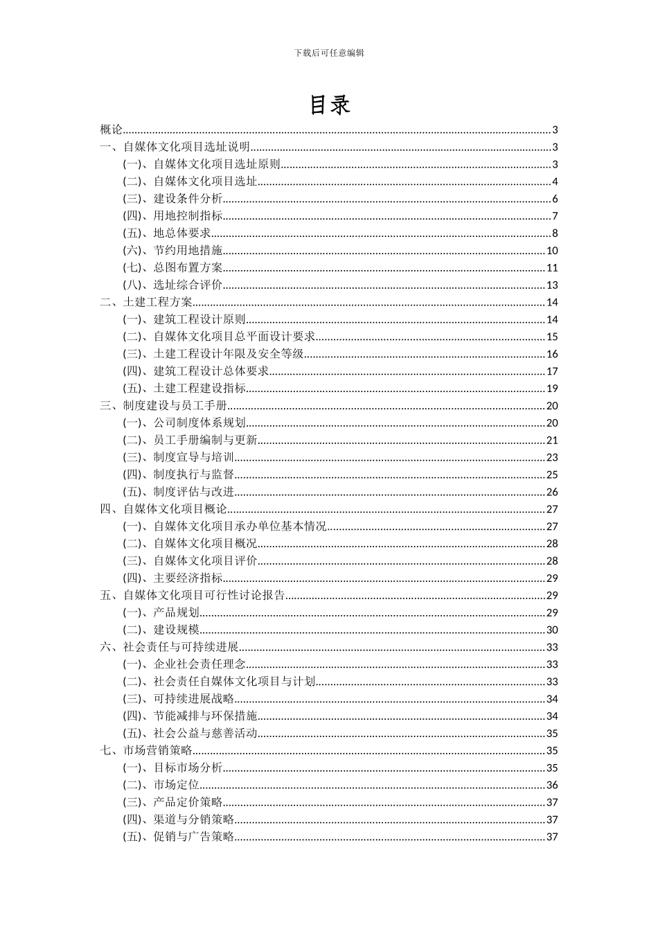 2024年自媒体文化项目投资分析及可行性报告_第2页