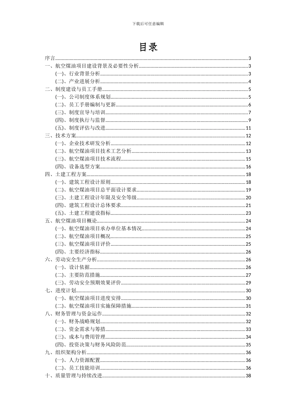 2024年航空煤油项目深度研究分析报告_第2页