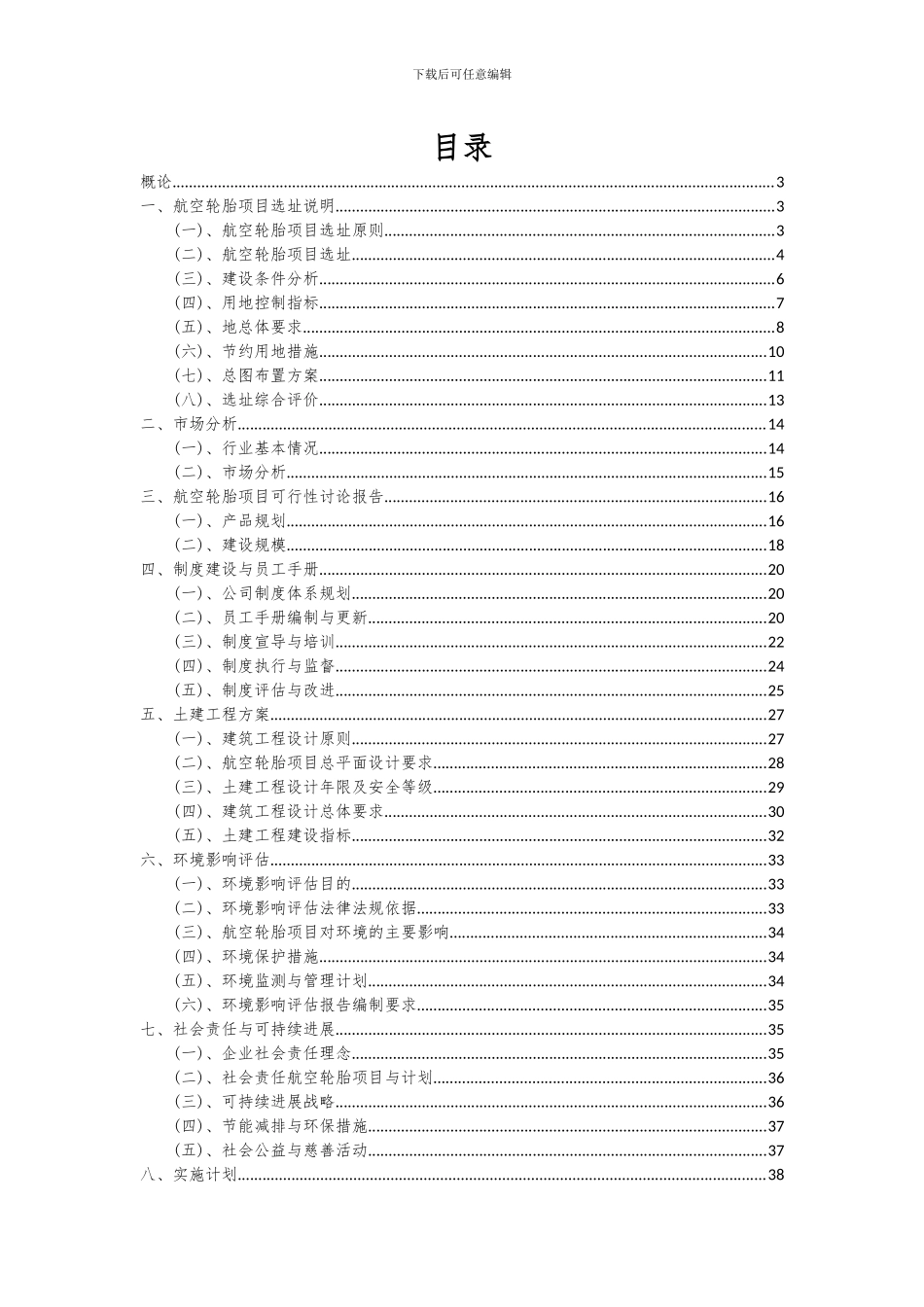 2024年航空轮胎项目深度研究分析报告_第2页