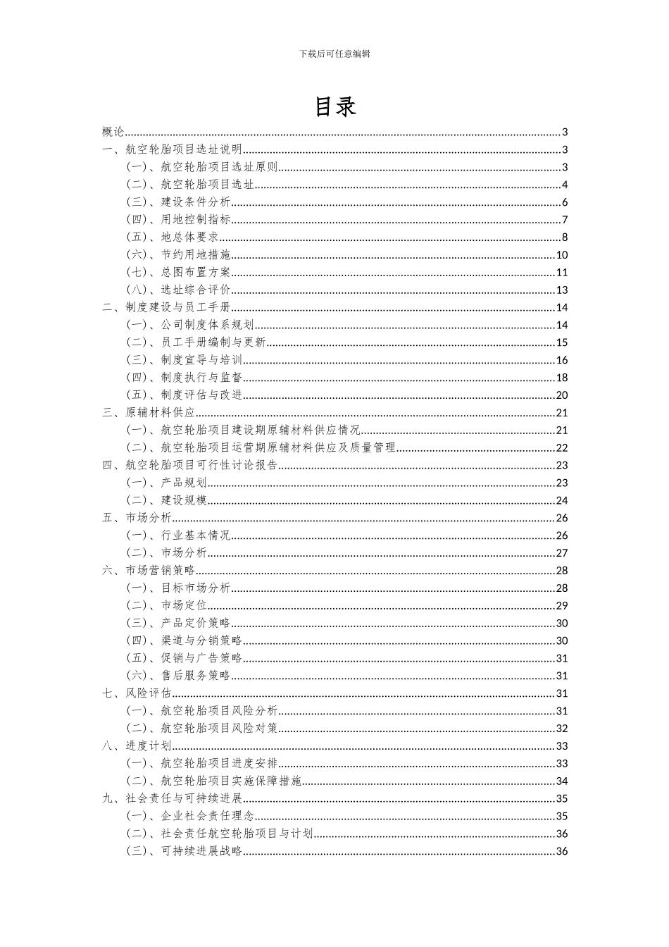 2024年航空轮胎项目可行性分析报告_第2页