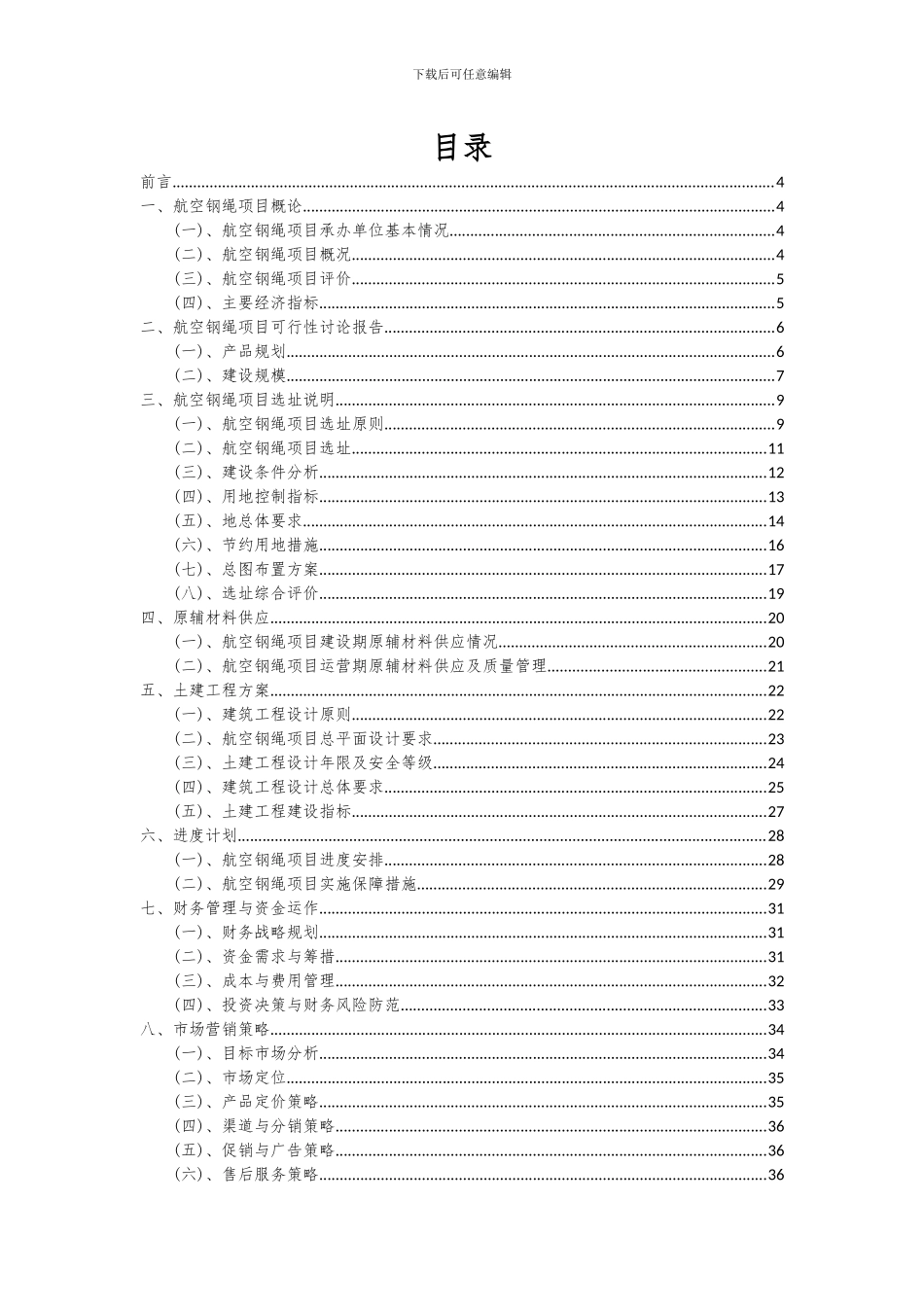 2024年航空钢绳项目可行性分析报告_第2页