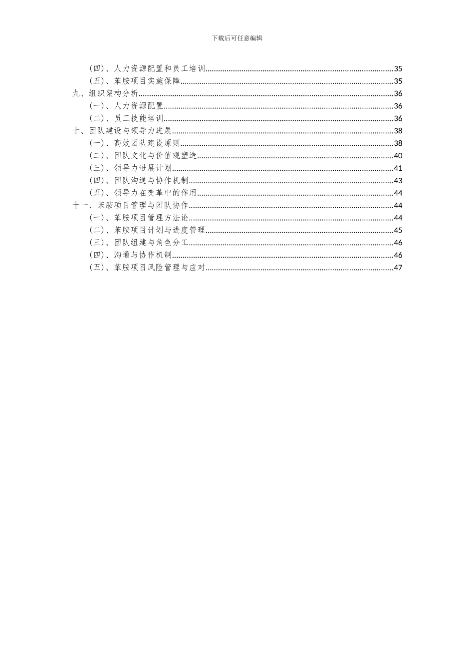 2024年苯胺项目投资分析及可行性报告_第3页