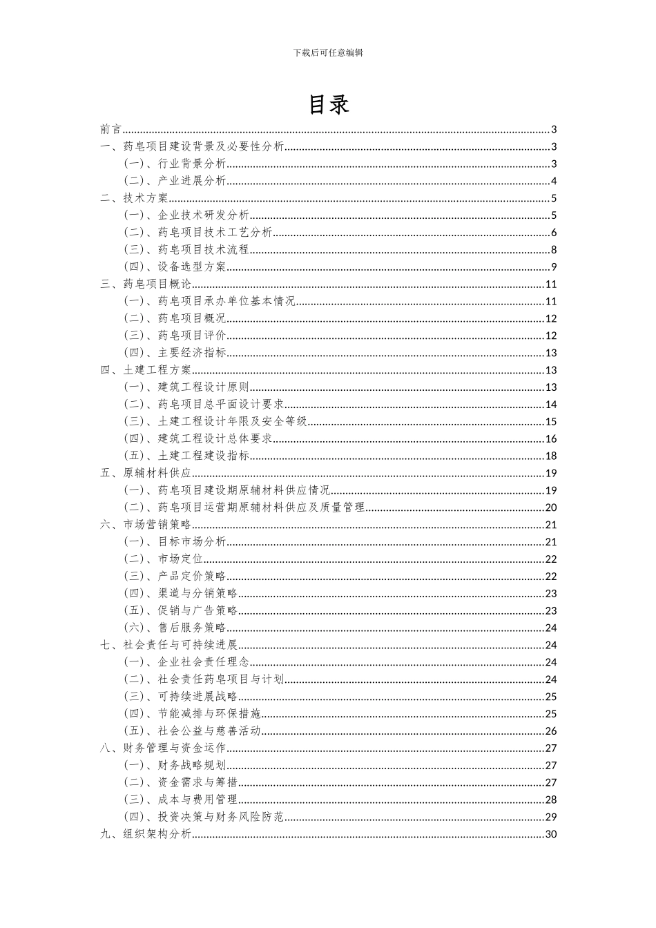 2024年药皂项目可行性研究报告_第2页