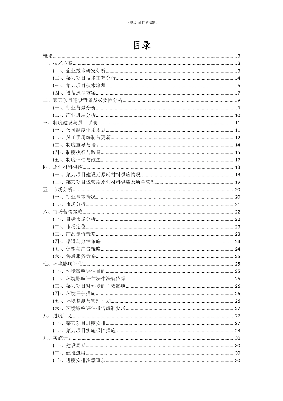 2024年菜刀项目可行性研究报告_第2页