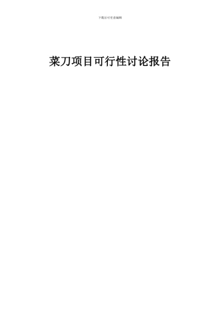 2024年菜刀项目可行性研究报告