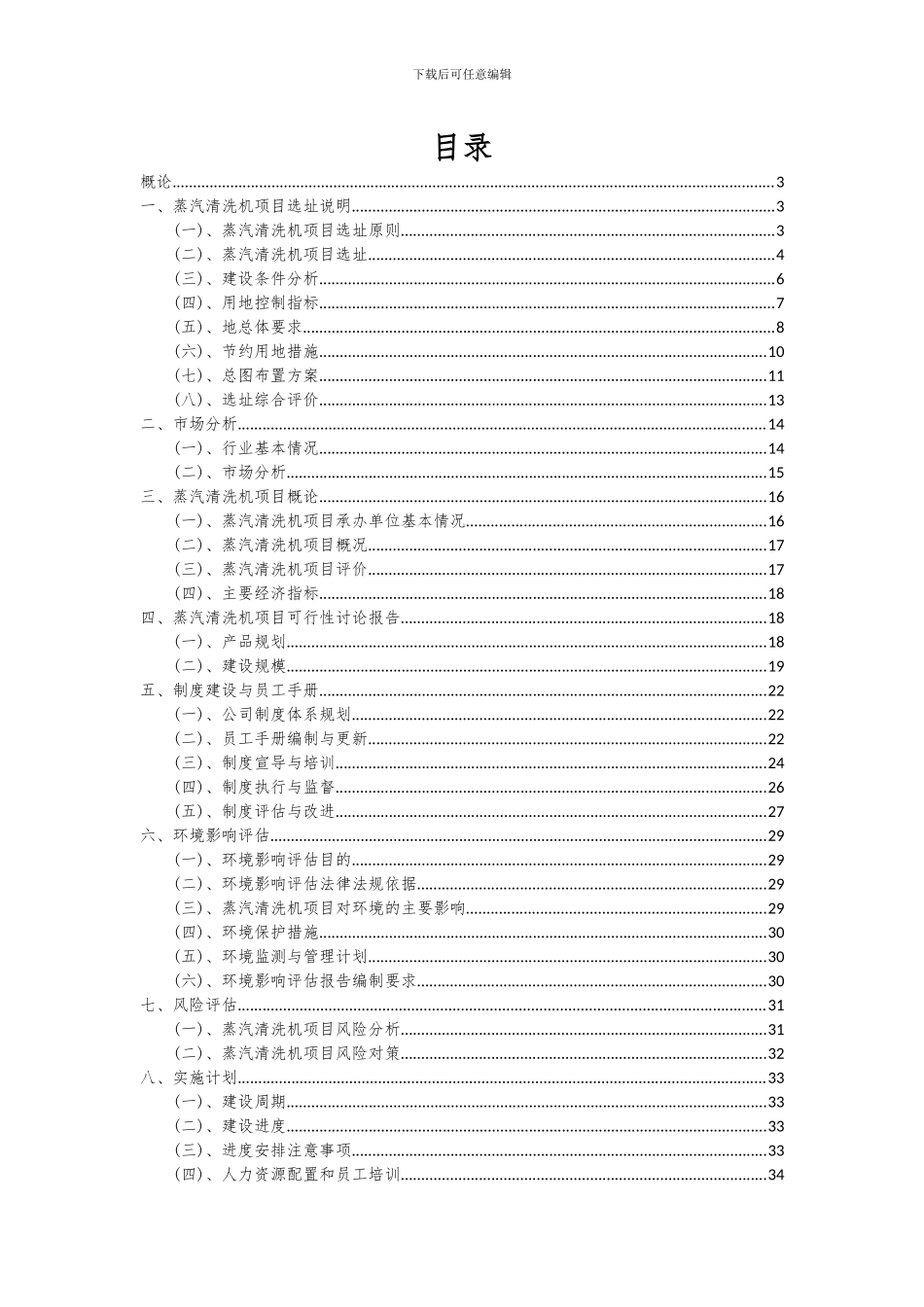 2024年蒸汽清洗机项目可行性分析报告_第2页