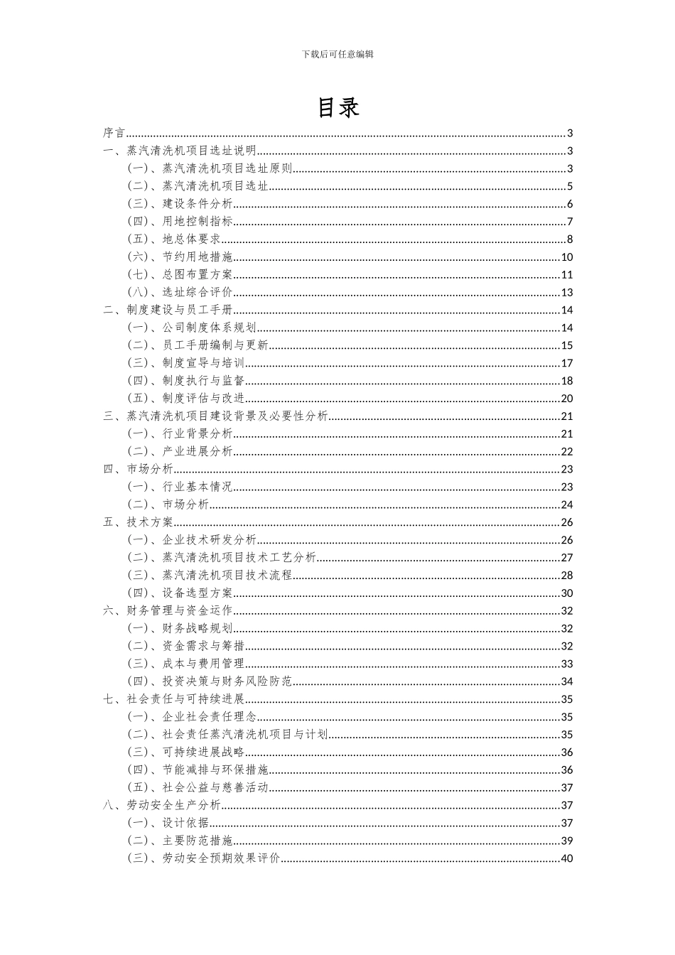 2024年蒸汽清洗机项目投资分析及可行性报告_第2页