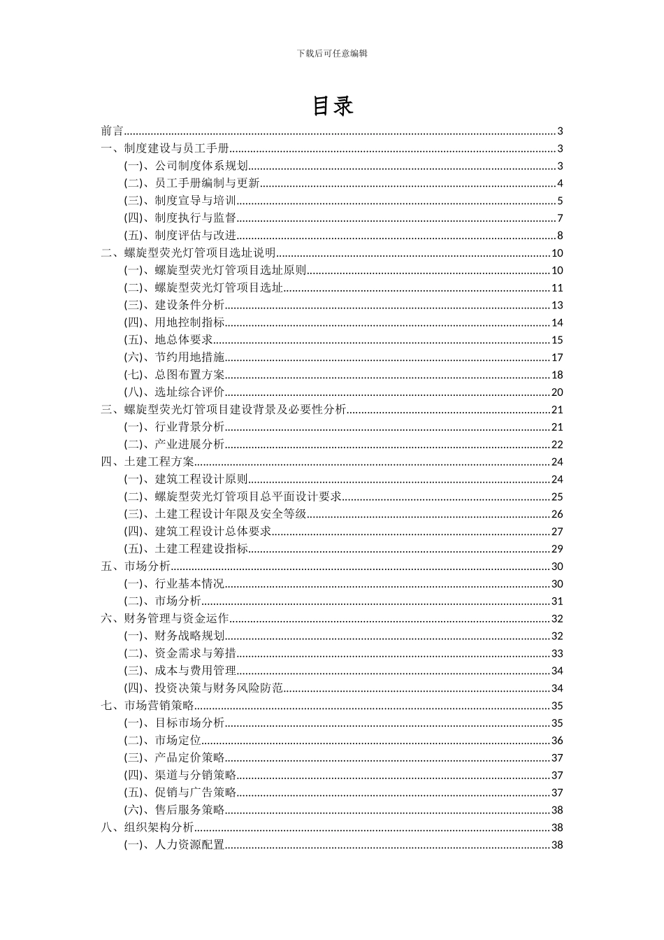 2024年螺旋型荧光灯管项目深度研究分析报告_第2页