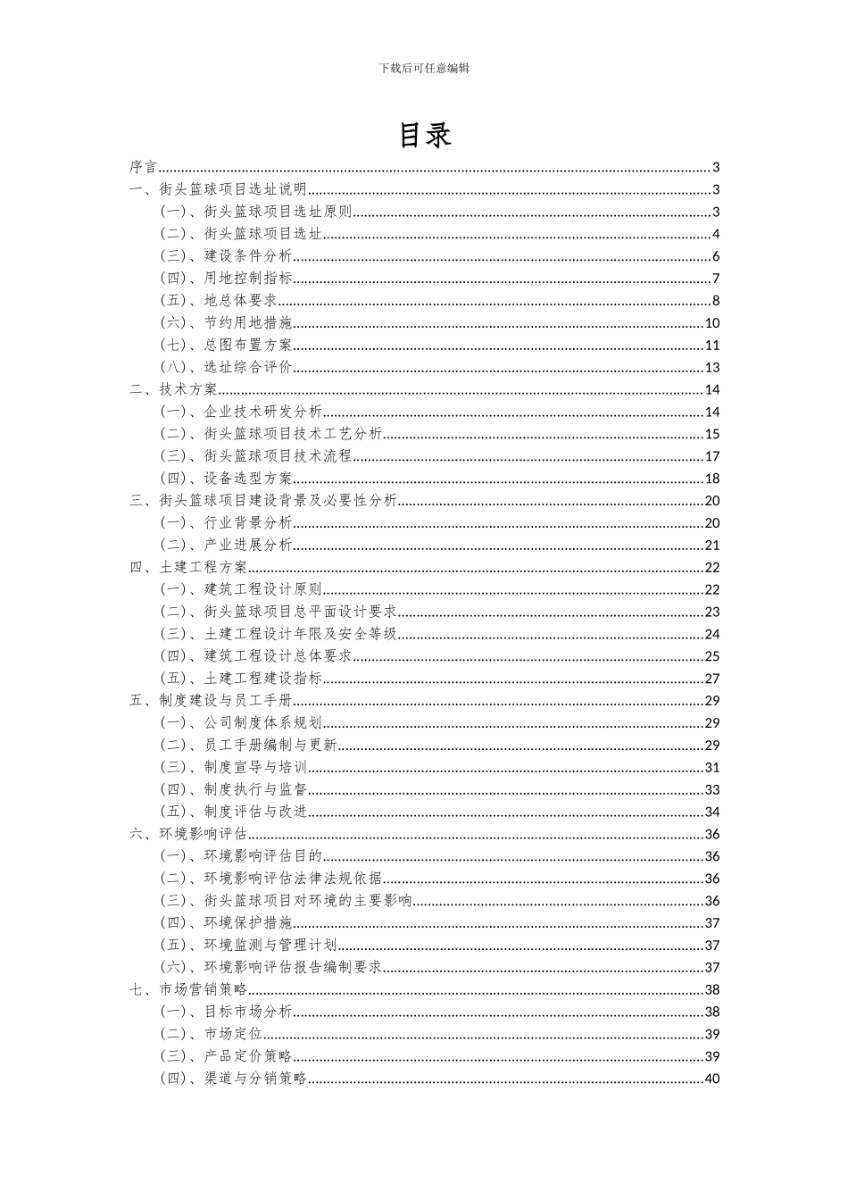 2024年街头篮球项目可行性研究报告_第2页