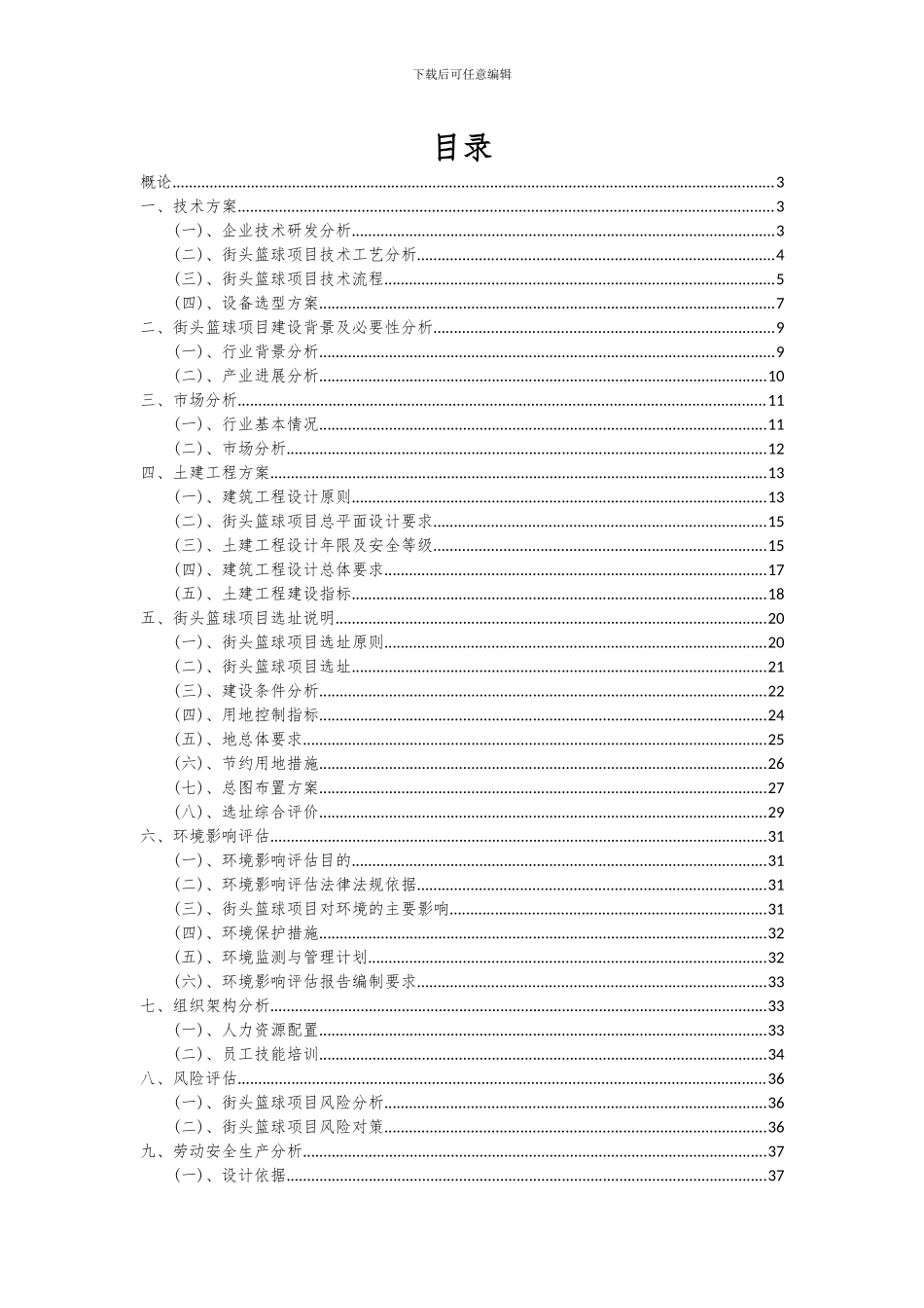 2024年街头篮球项目深度研究分析报告_第2页