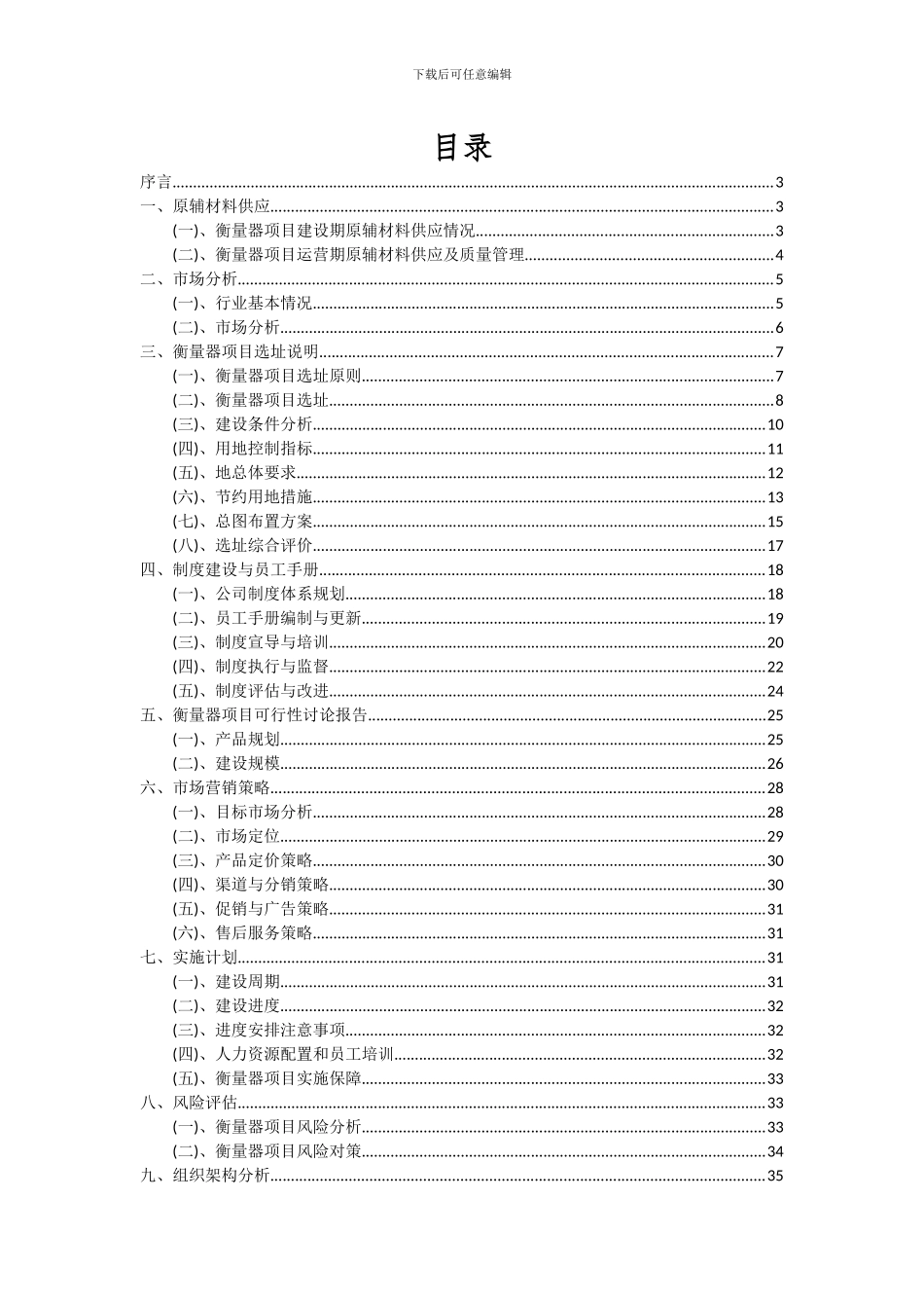 2024年衡量器项目可行性分析报告_第2页