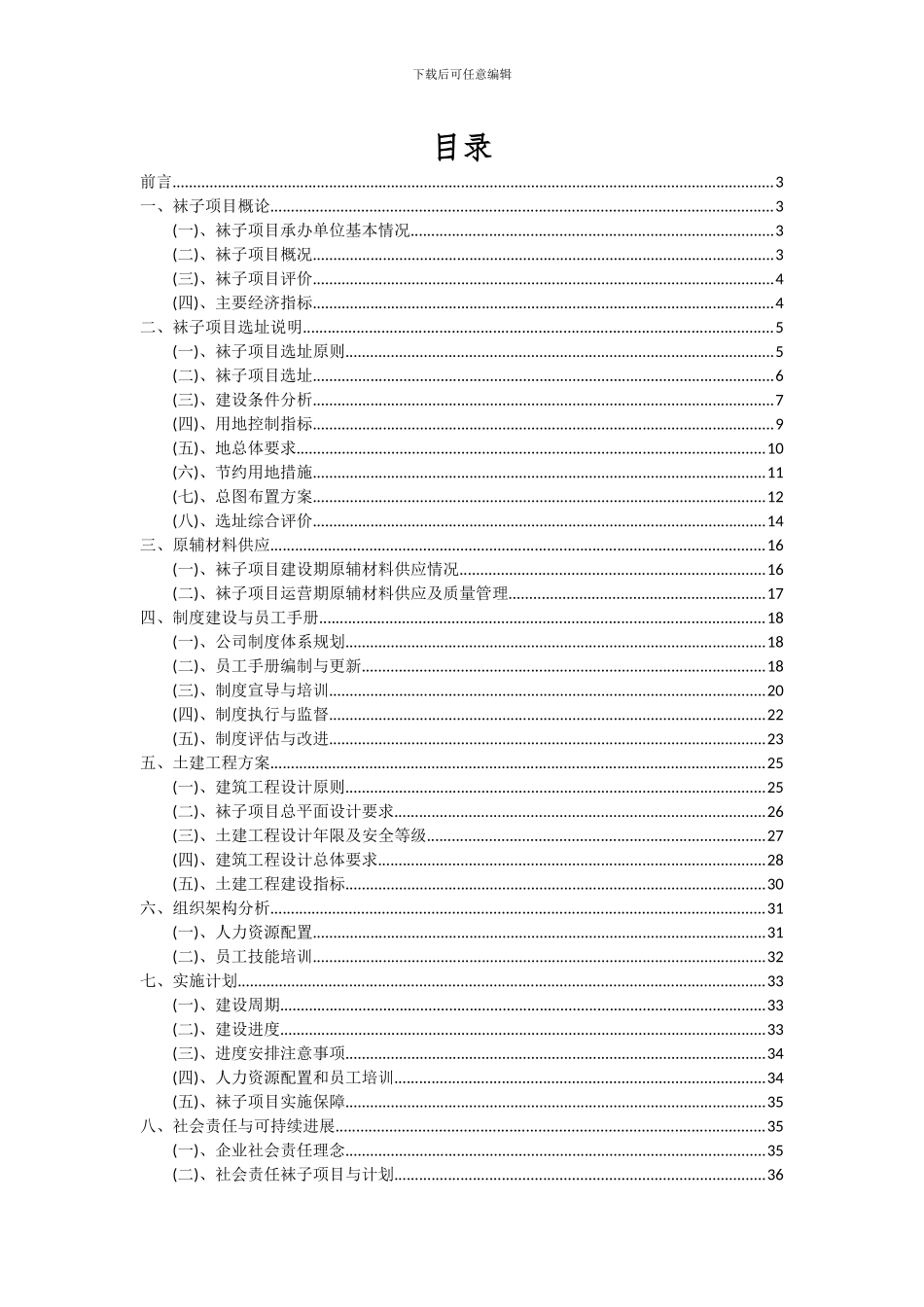 2024年袜子项目深度研究分析报告_第2页