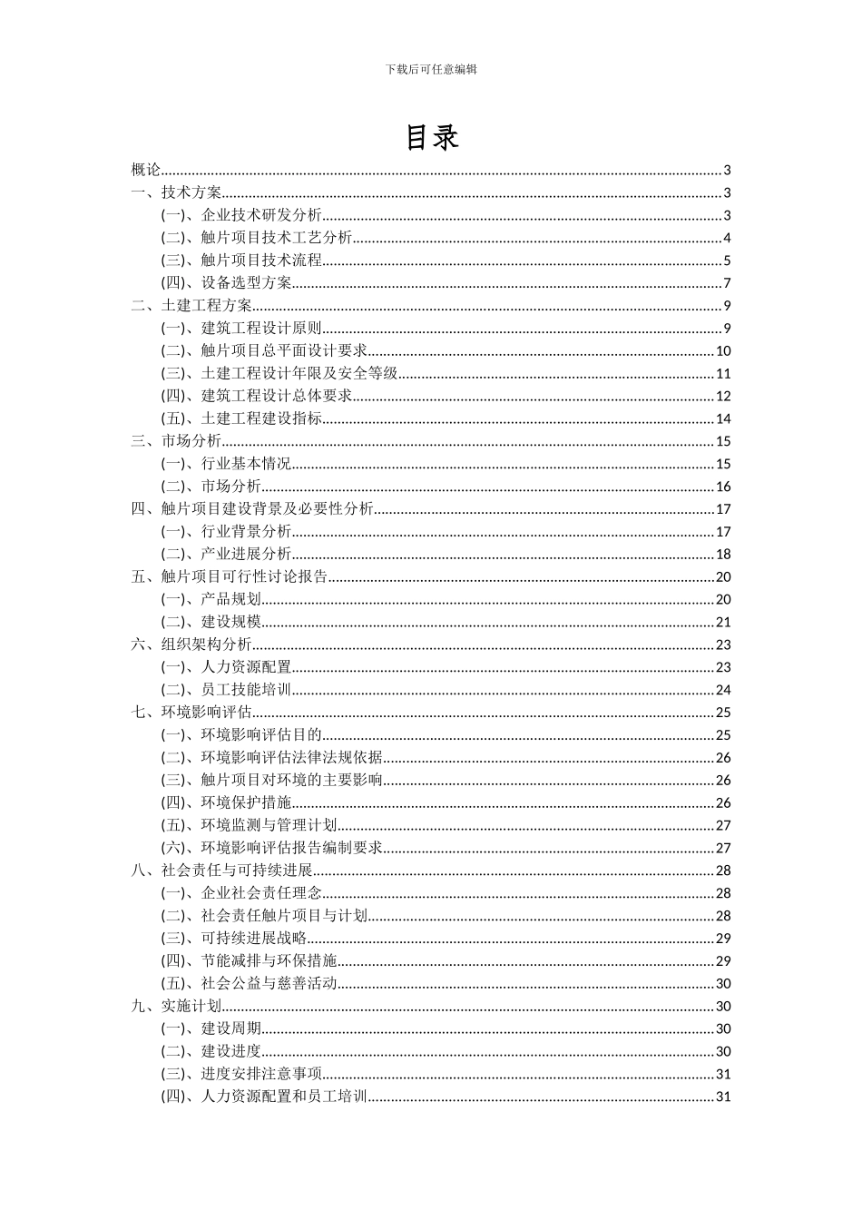 2024年触片项目深度研究分析报告_第2页