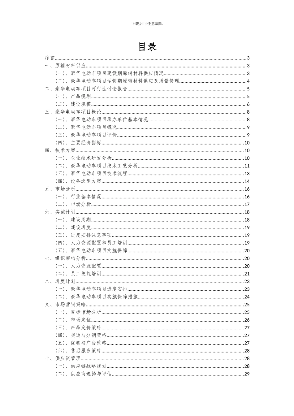 2024年豪华电动车项目可行性研究报告_第2页