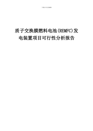2024年质子交换膜燃料电池(REMFC)发电装置项目可行性分析报告