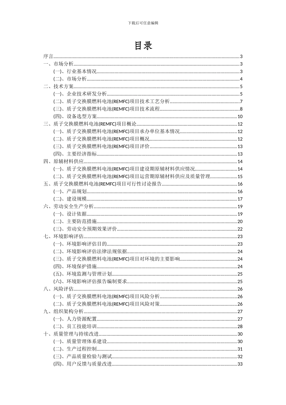2024年质子交换膜燃料电池(REMFC)项目可行性研究报告_第2页
