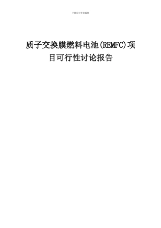 2024年质子交换膜燃料电池(REMFC)项目可行性研究报告