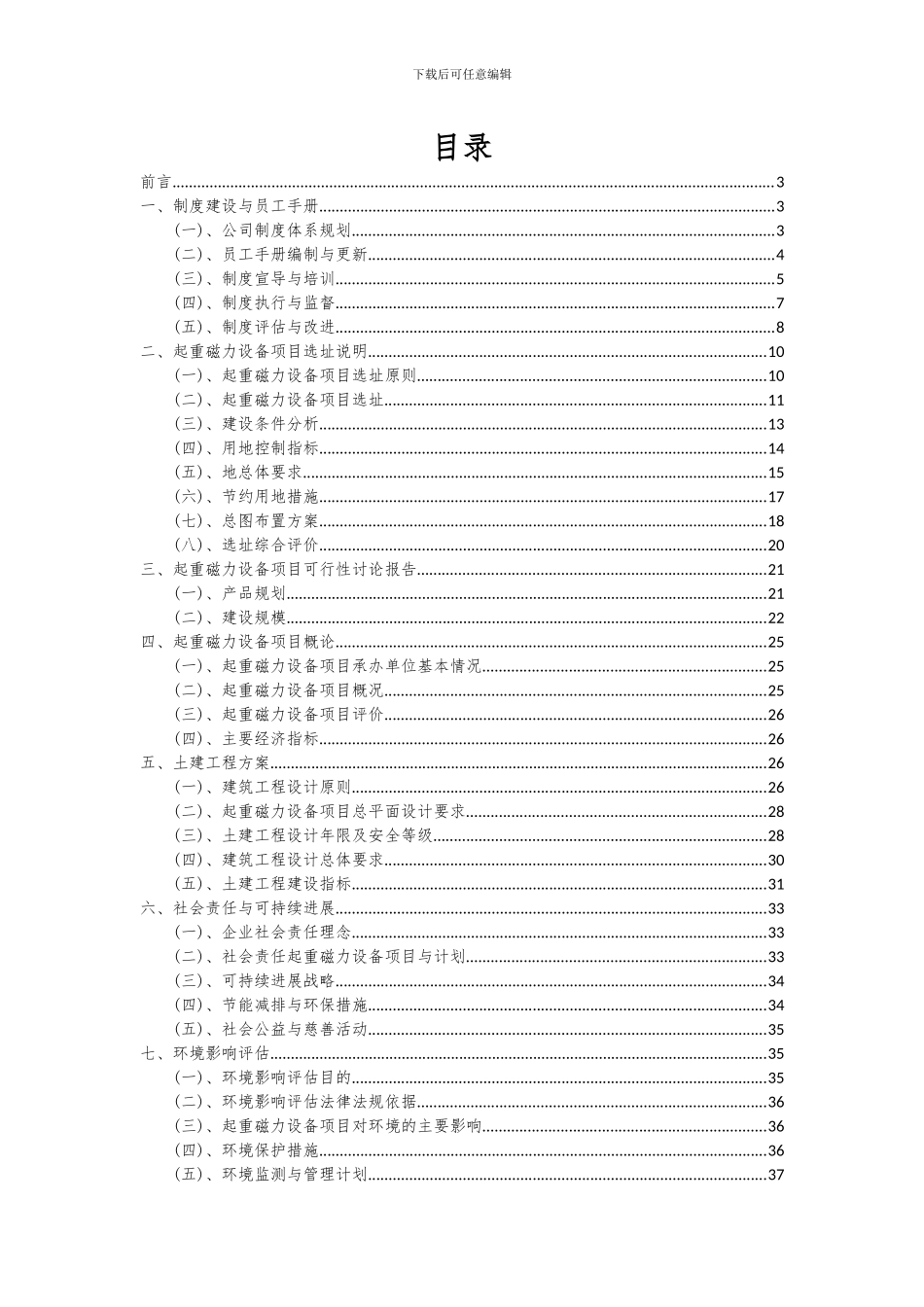 2024年起重磁力设备项目投资分析及可行性报告_第2页