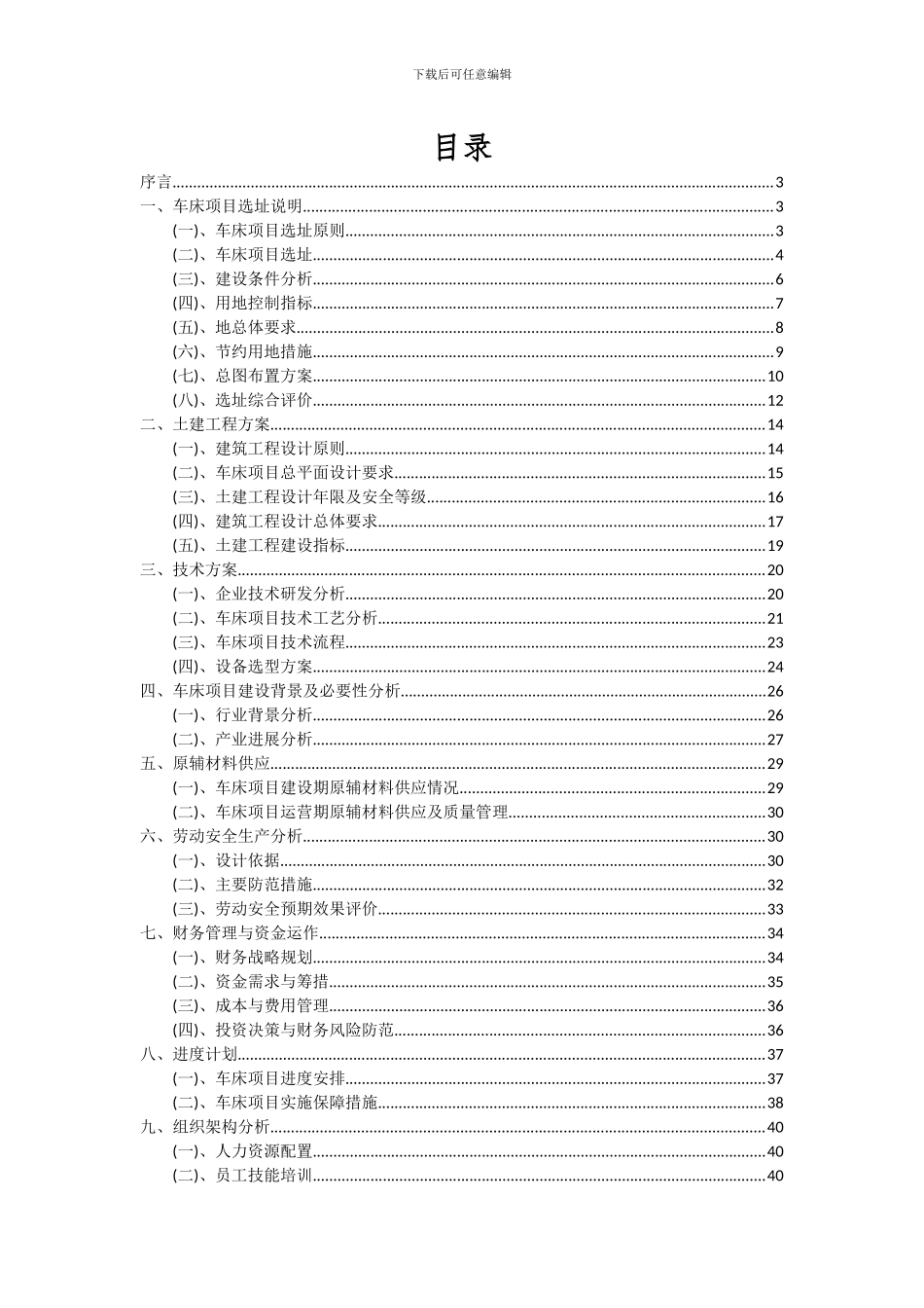 2024年车床项目可行性分析报告_第2页