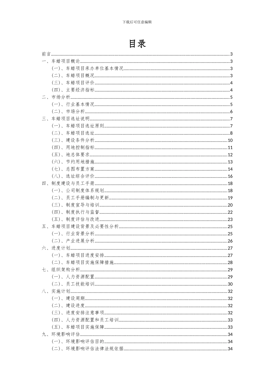 2024年车蜡项目可行性研究报告_第2页