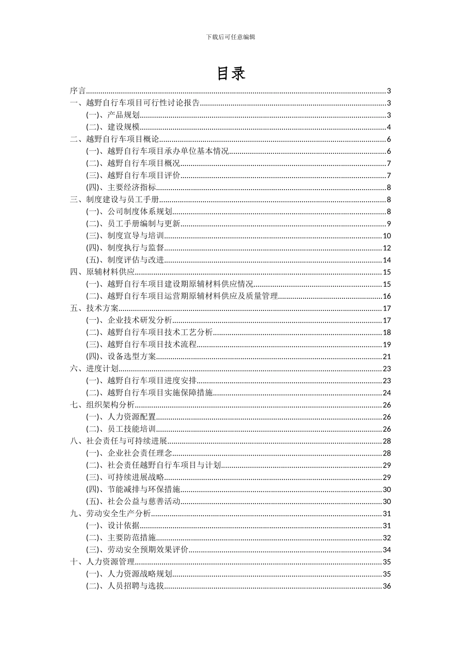 2024年越野自行车项目投资分析及可行性报告_第2页