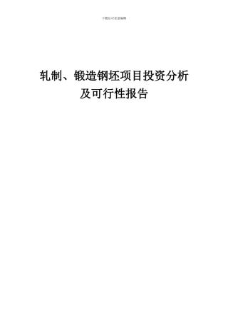 2024年轧制、锻造钢坯项目投资分析及可行性报告