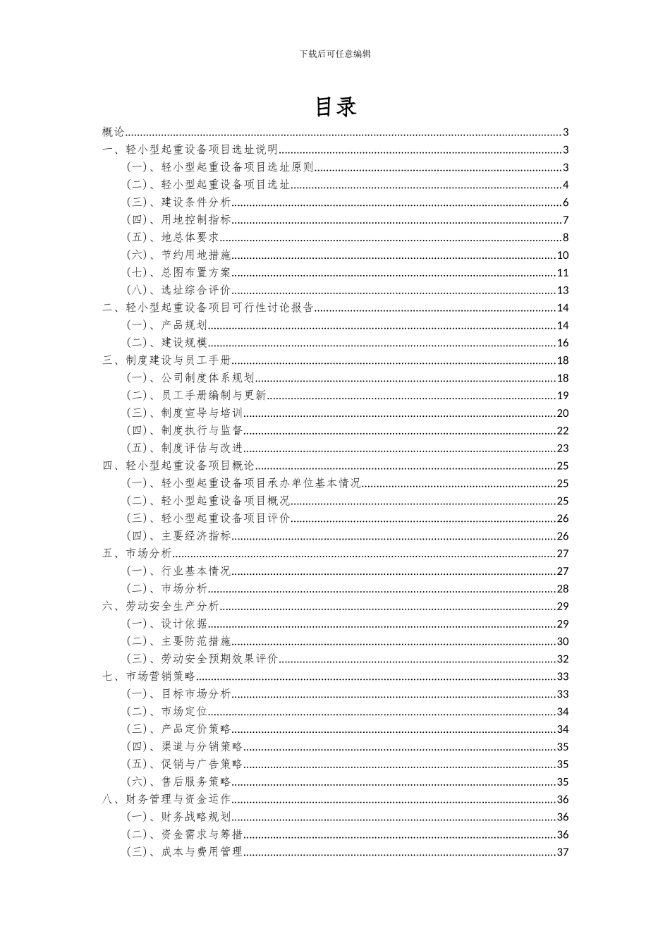 2024年轻小型起重设备项目深度研究分析报告_第2页