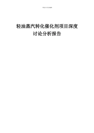 2024年轻油蒸汽转化催化剂项目深度研究分析报告