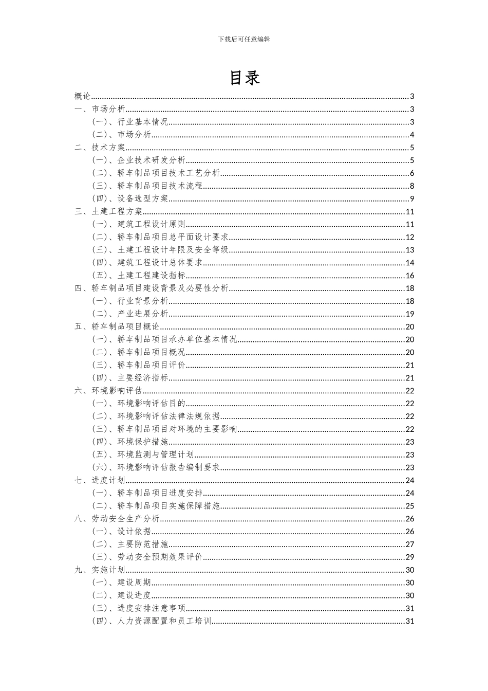 2024年轿车制品项目投资分析及可行性报告_第2页