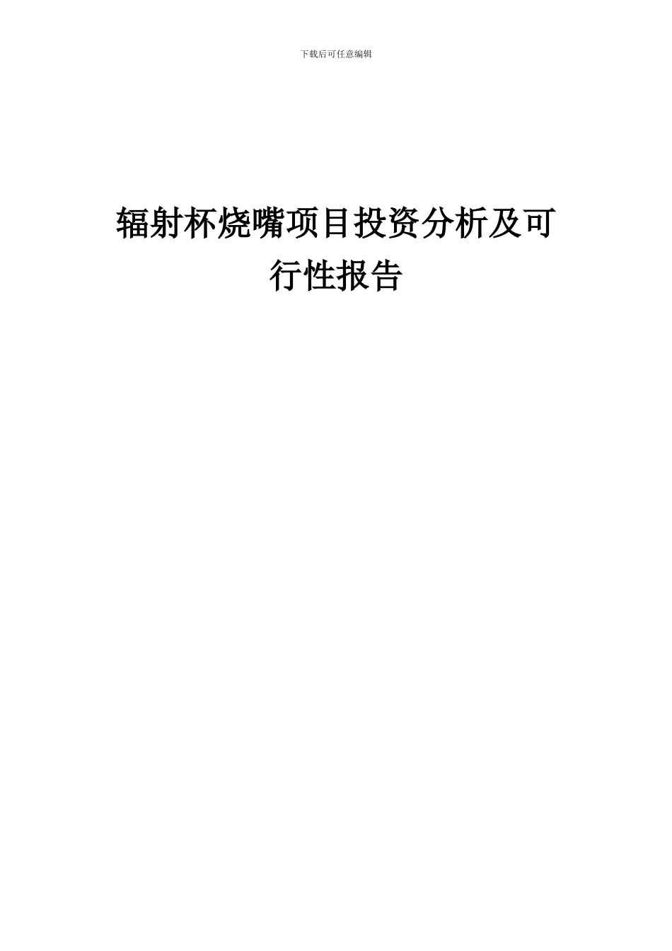2024年辐射杯烧嘴项目投资分析及可行性报告_第1页