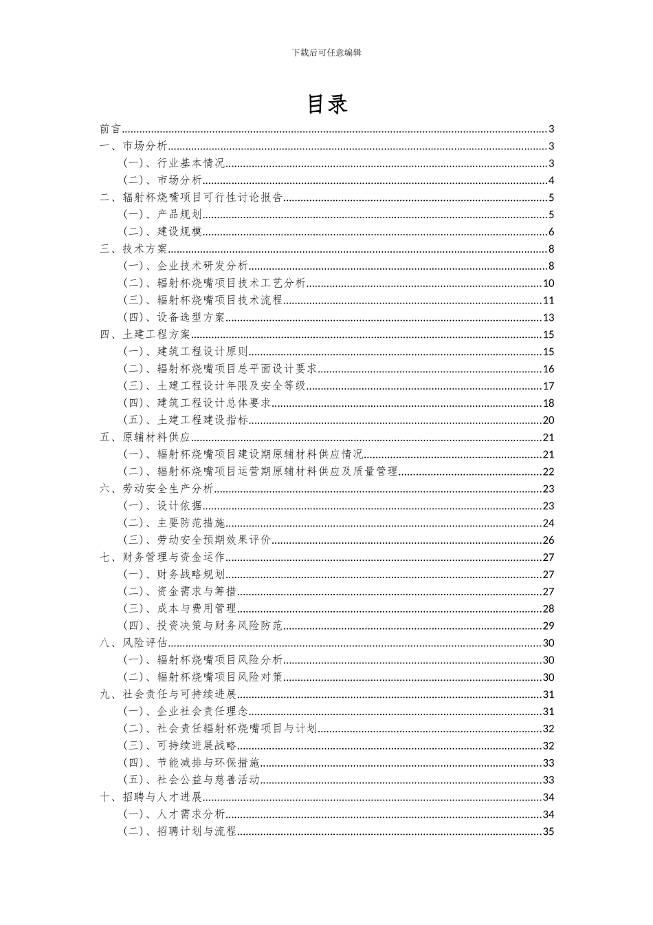 2024年辐射杯烧嘴项目深度研究分析报告_第2页