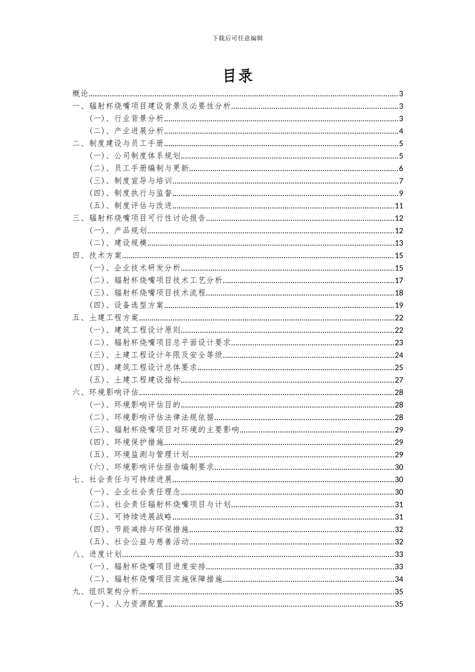 2024年辐射杯烧嘴项目可行性研究报告_第2页