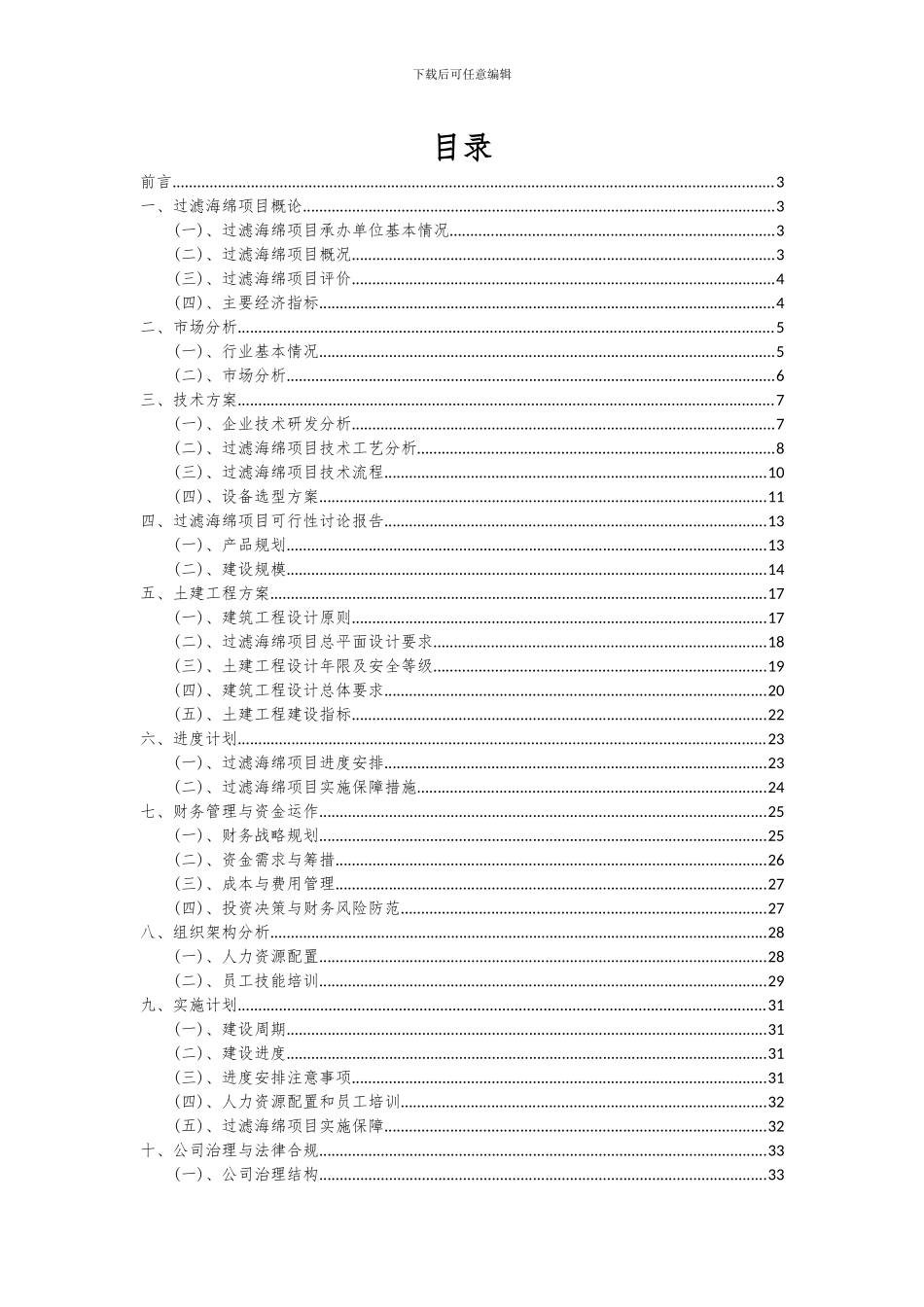 2024年过滤海绵项目可行性研究报告_第2页