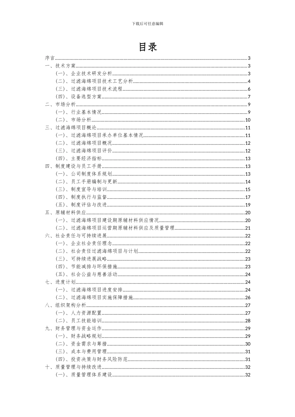 2024年过滤海绵项目深度研究分析报告_第2页
