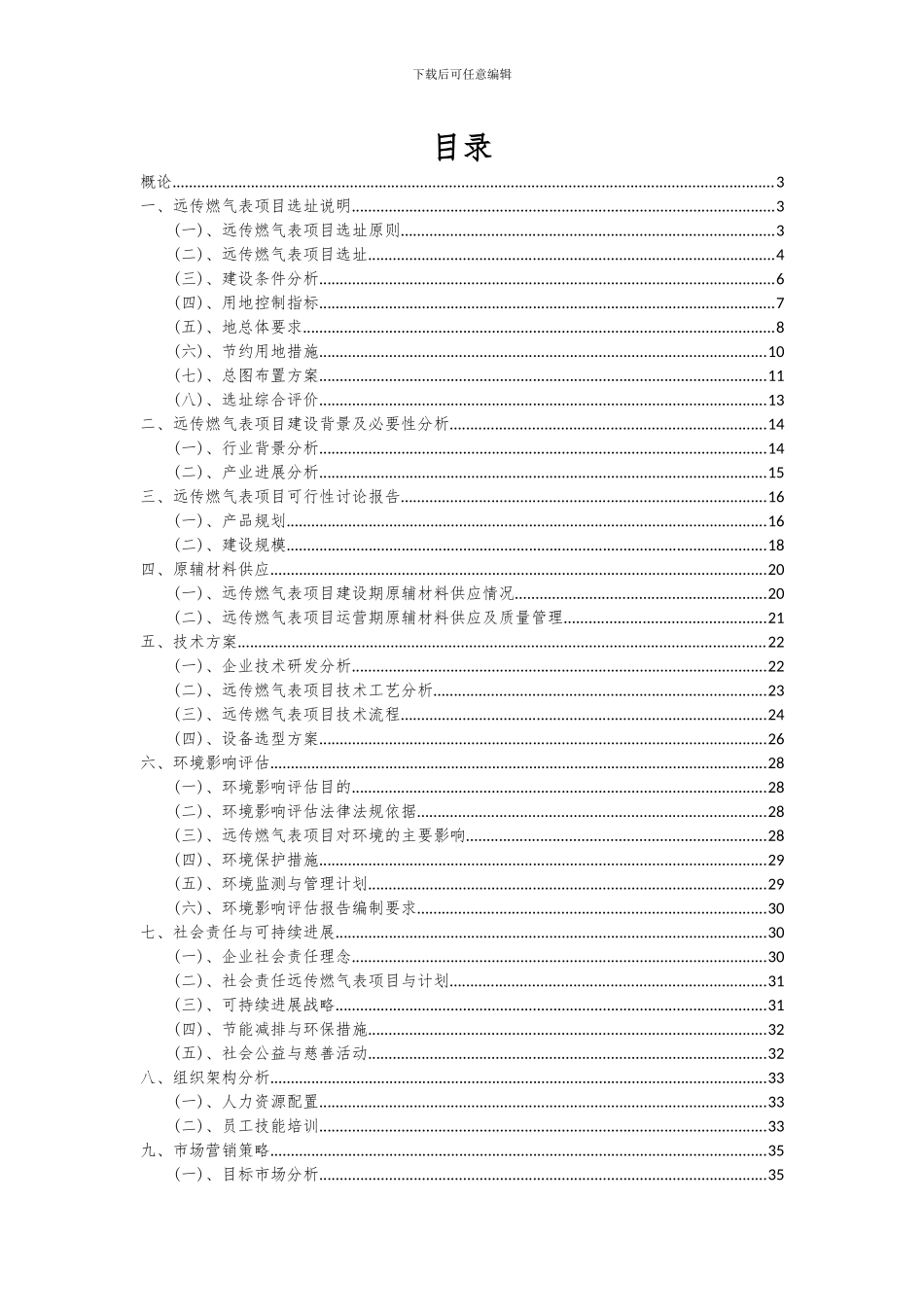 2024年远传燃气表项目深度研究分析报告_第2页