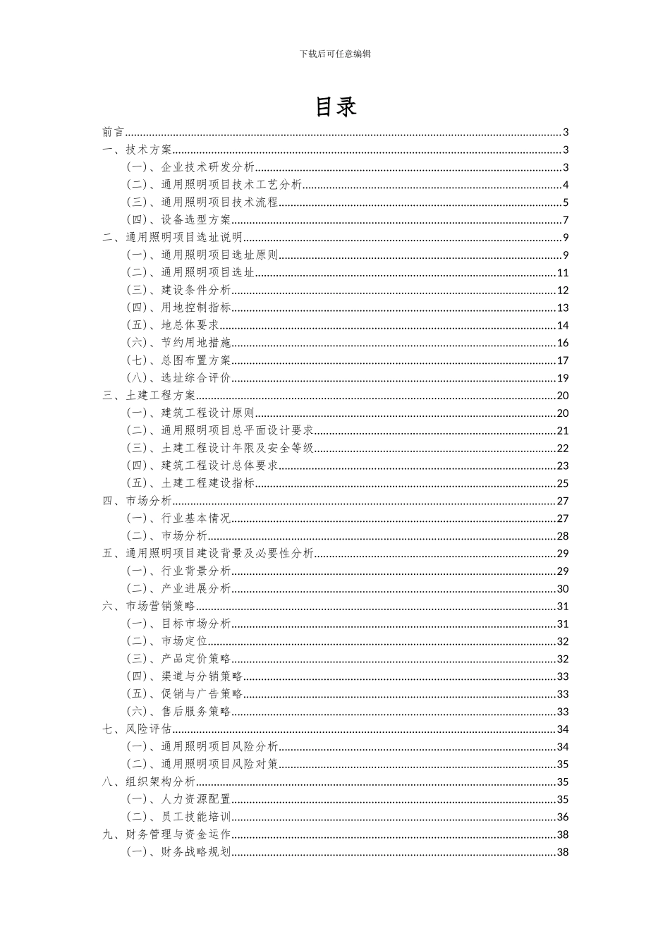 2024年通用照明项目可行性分析报告_第2页