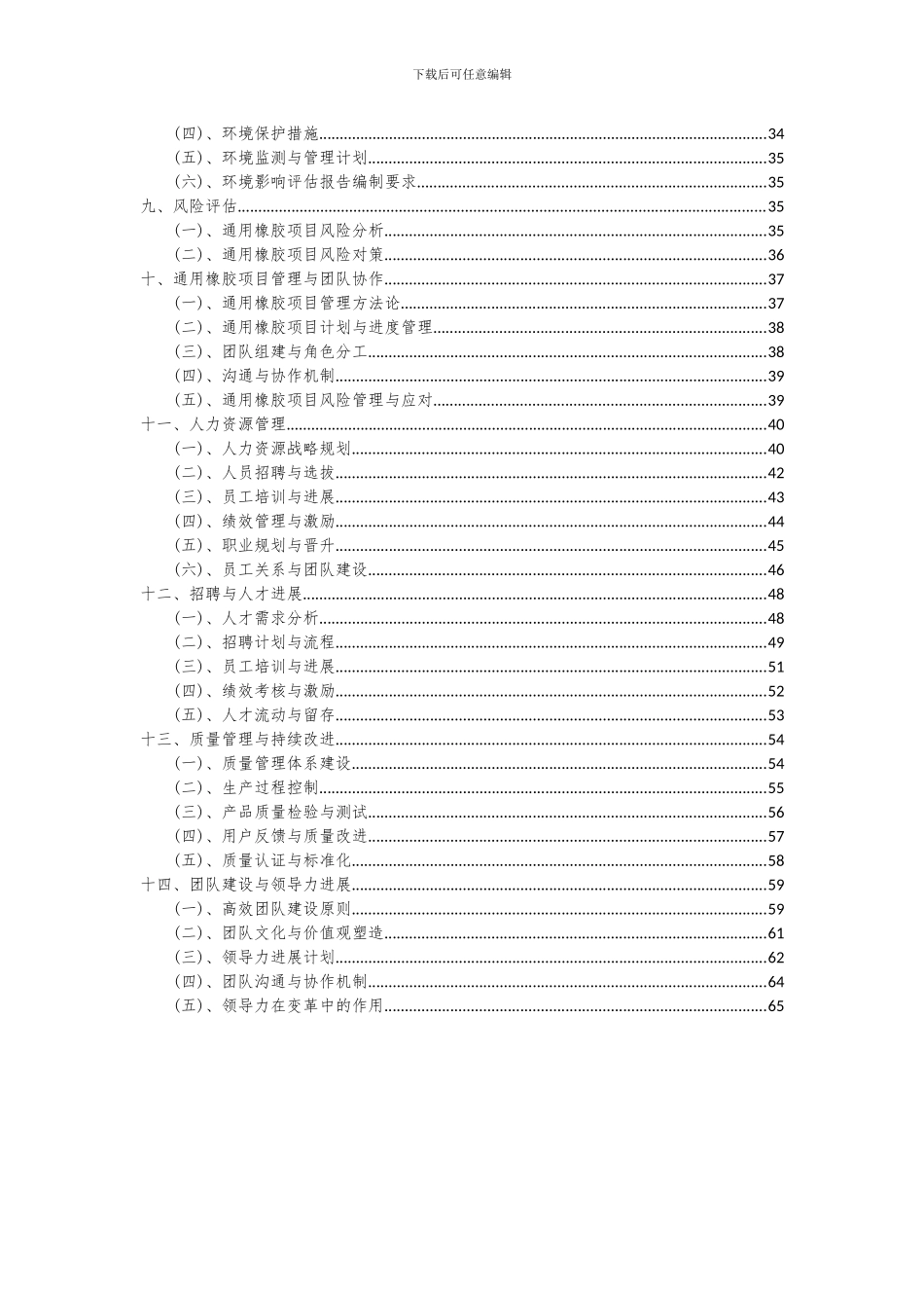 2024年通用橡胶项目深度研究分析报告_第3页